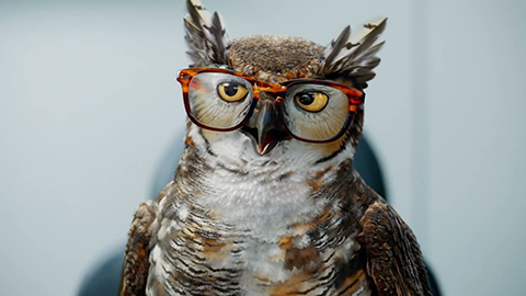 Get The Best Deals at America's Best Eyewear + Eyecar